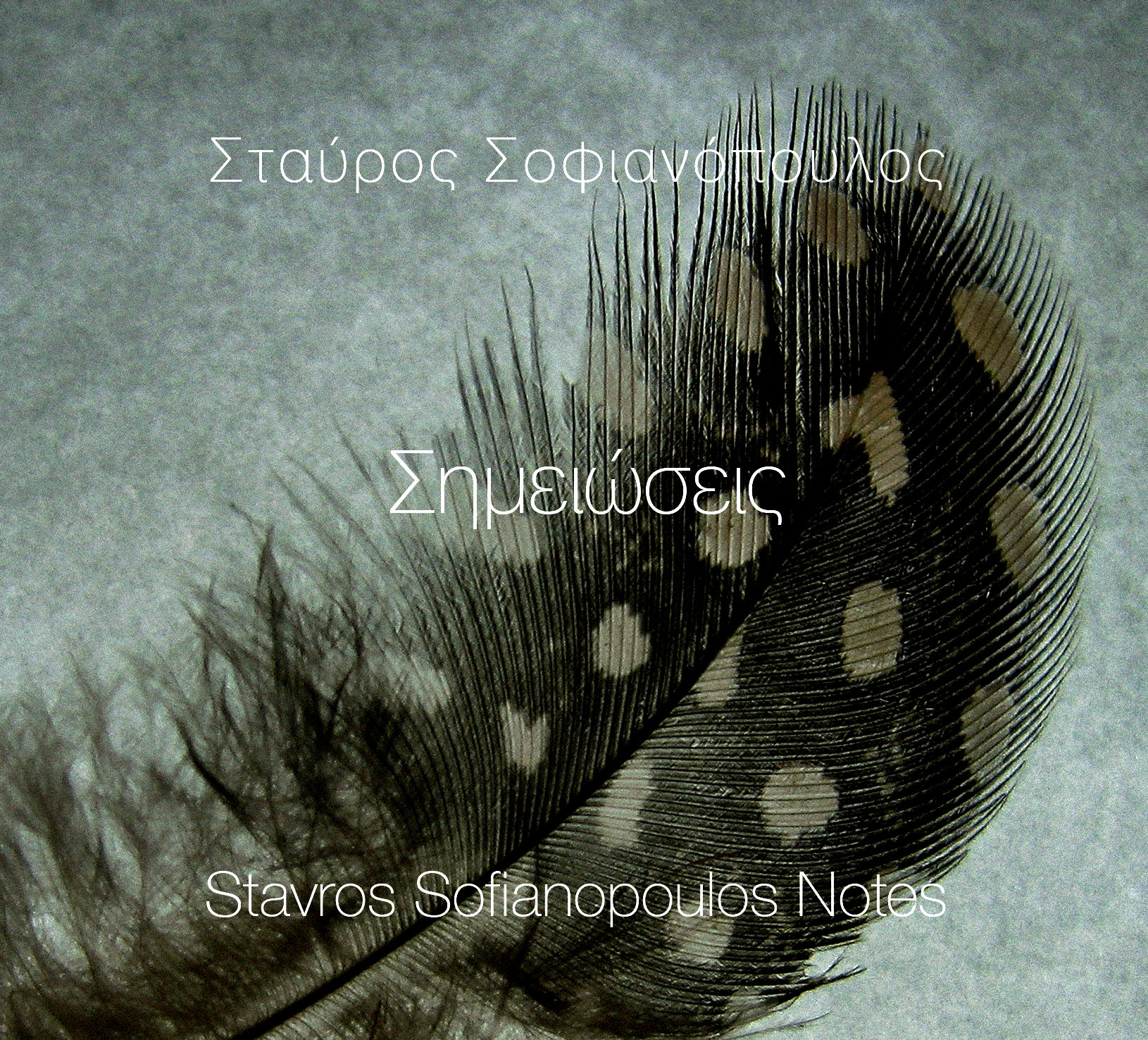 σημειώσεις